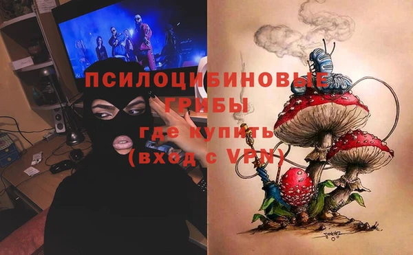 гидропоника Каменногорск