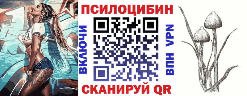 Купить где  Торопец  Псилоцибиновые грибы прущие грибы 